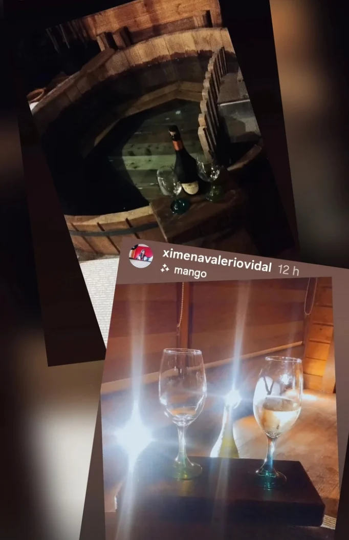 Story shared by visitors to Bellavista