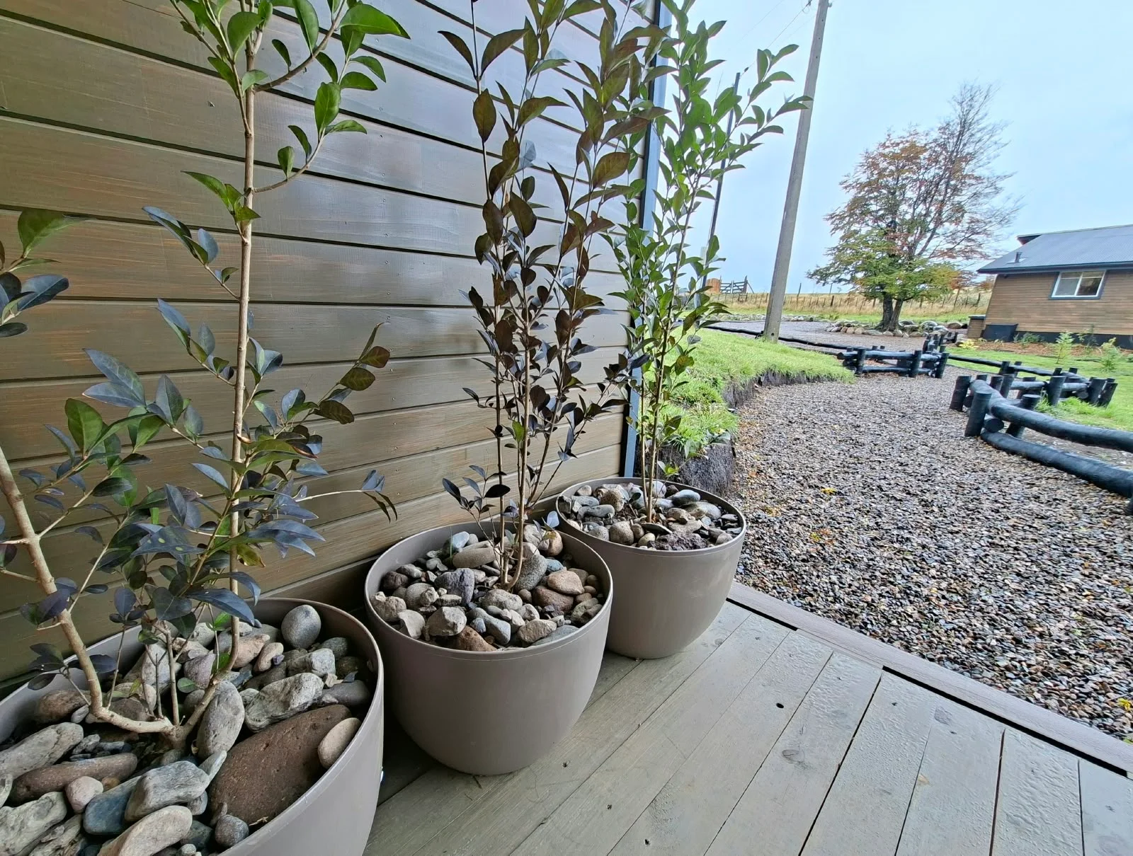 Little details of the garden. Garden at Tinaja Bellavista Coyhaique.